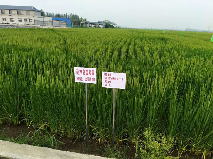 奇发28(集团)中国官方网站