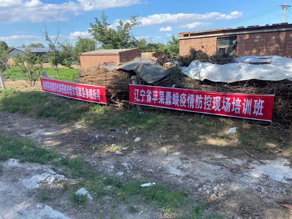 奇发28(集团)中国官方网站